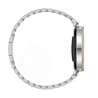 Huawei Watch GT 4/41mm/Silver/Elegant Band/Silver