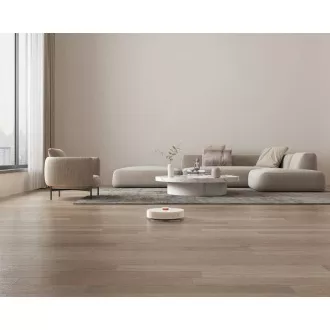 Xiaomi Robot Vacuum S10+ EU Xiaomi Robot Vacuum S10+ EU