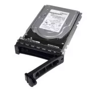Dell/2,4TB/HDD/3.5"/SAS/10K RPM/1R