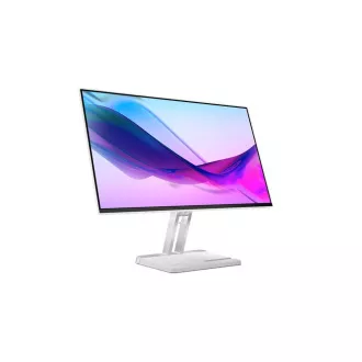 Lenovo/L24i-4A/23,8"/IPS/FHD/100Hz/1ms/Gray/3R