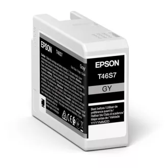 Epson C13T46S700 - cartridge, gray (šedá)