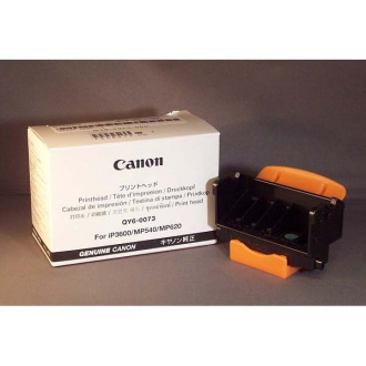 Canon QY6-0073-000 - tisková hlava, black + color (černá + barevná)