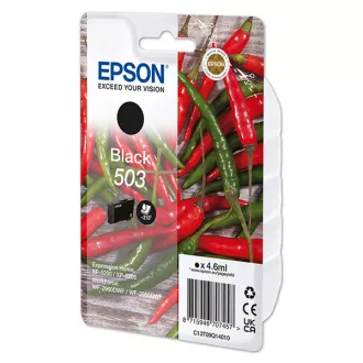 Epson C13T09Q14010 - cartridge, black (černá)