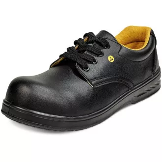 RAVEN MF ESD S1 SRC polobotka