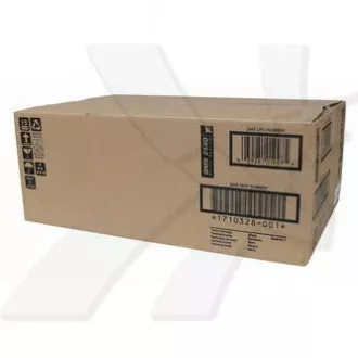 Konica Minolta P1710328001 - toner, black (černý)