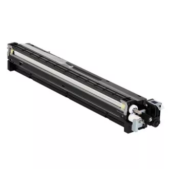 Ricoh D1773020 - toner, black (černý)
