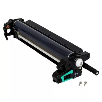 Ricoh M0262024 - optická jednotka, black (černá)