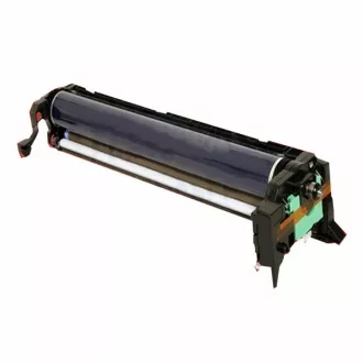Ricoh D0892250 - optická jednotka, black (černá)