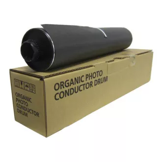 Ricoh D0099510 - toner, black (černý)