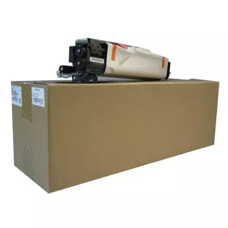 Ricoh D117-0121 - optická jednotka, black (černá)