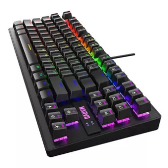 Marvo KG901 klávesnice drátová (USB) CZ/SK, černá mechanická Marvo KG901 klávesnice drátová (USB) CZ/SK, černá mechanická