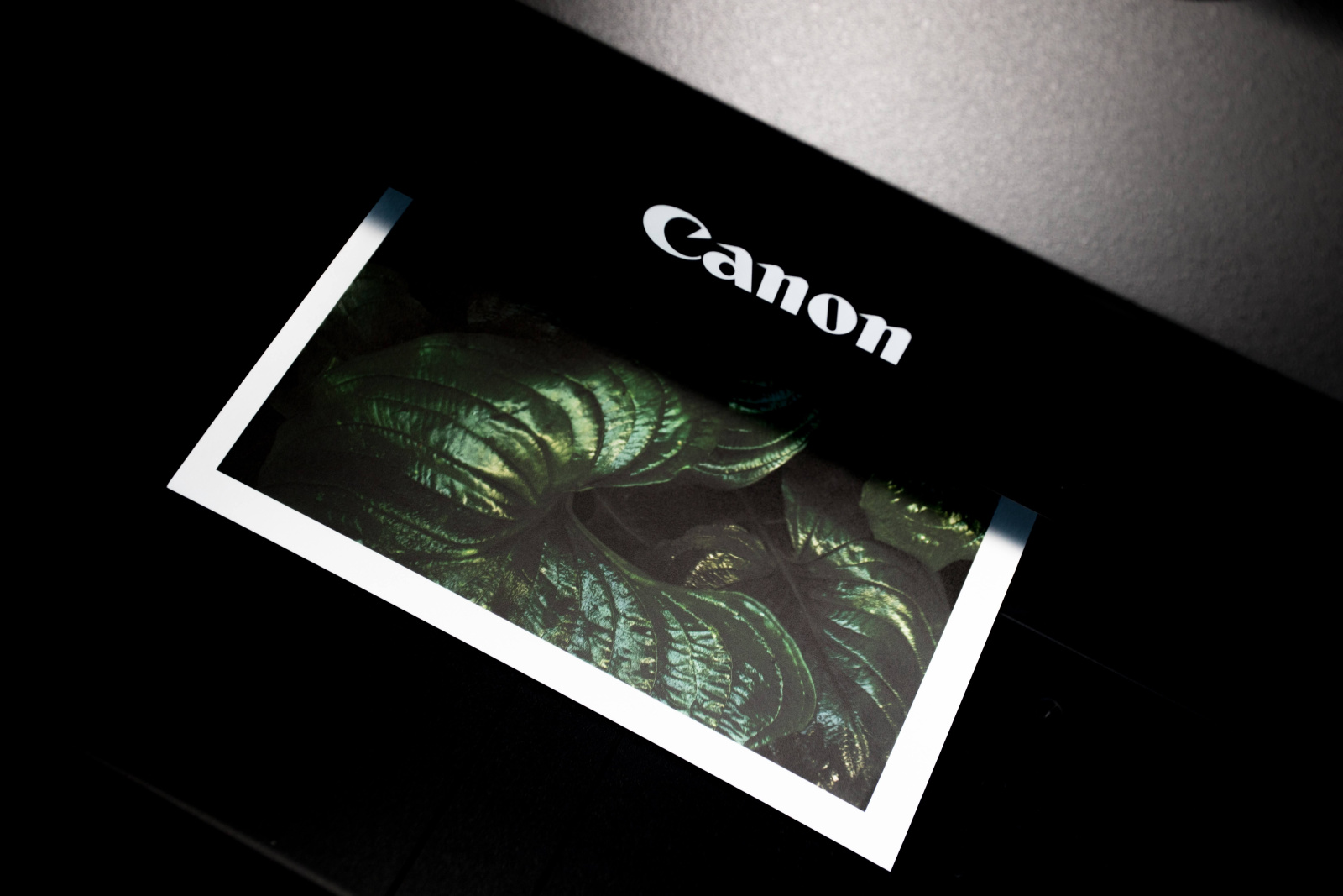 Tisk obrázku na tiskárně Canon