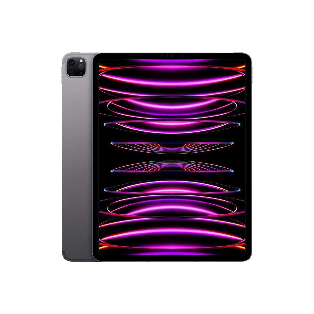 Levně APPLE 12.9" iPad Pro (6. gen) Wi-Fi + Cellular 1TB - Space Grey