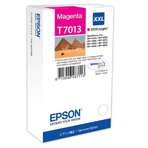 EPSON T7013 (C13T70134010) - originální