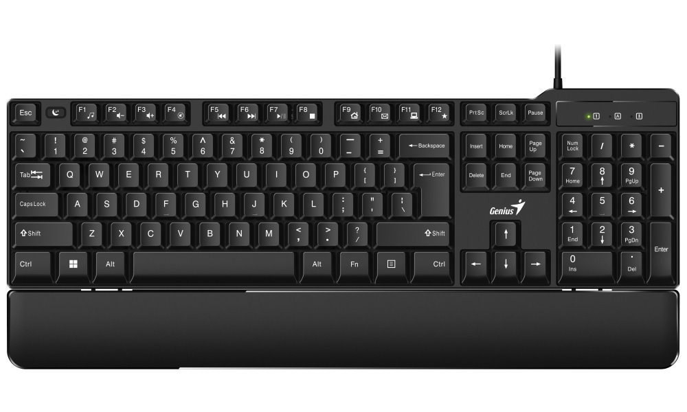 Levně GENIUS klávesnice KB-100XP, Drátová, Ergo předložka, USB, CZ+SK layout